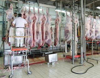 Шлях виробників і переробників яловичини на ринок ЄС: починати треба з чистоти